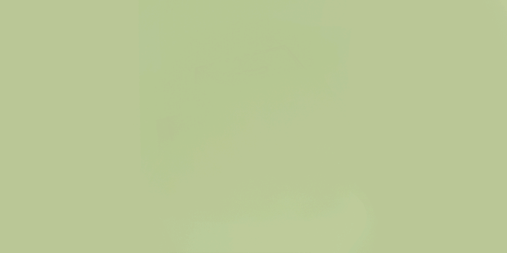 Mystery Box Bundle open showing mystery product silhouette